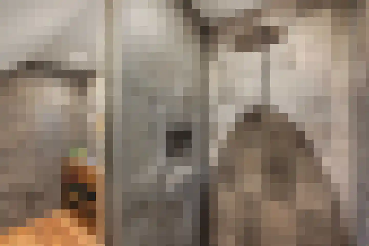 Willeke Joostenstraat 4 Bosschenhoofd thumbnail 36