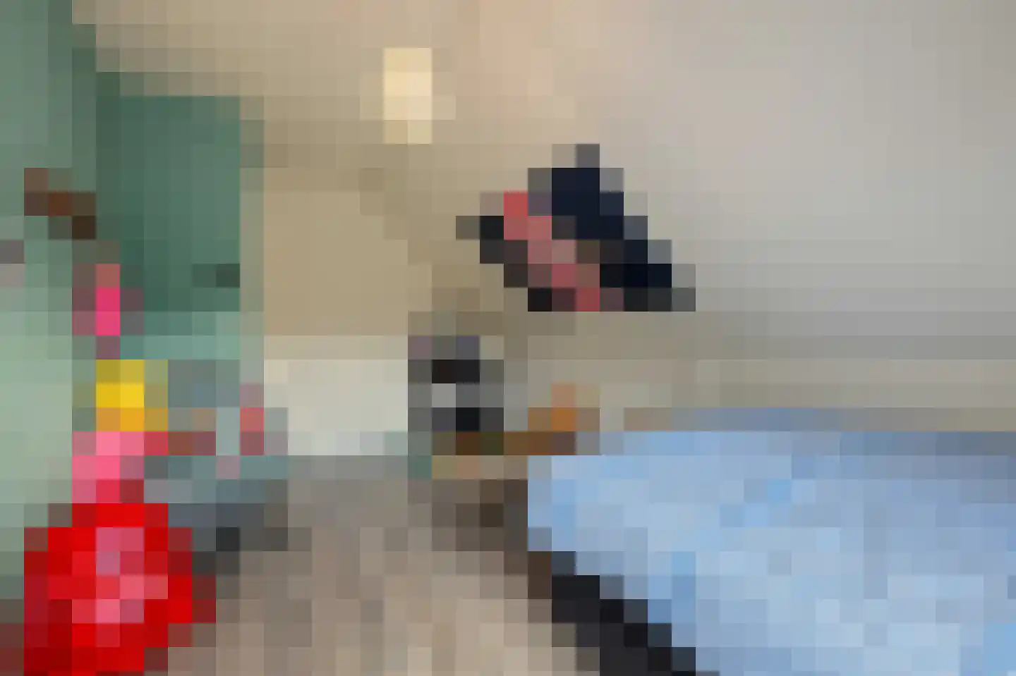 Willeke Joostenstraat 4 Bosschenhoofd thumbnail 39