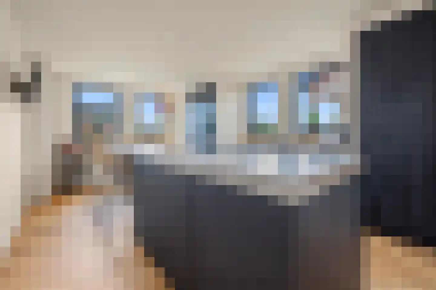 Willeke Joostenstraat 4 Bosschenhoofd thumbnail 4