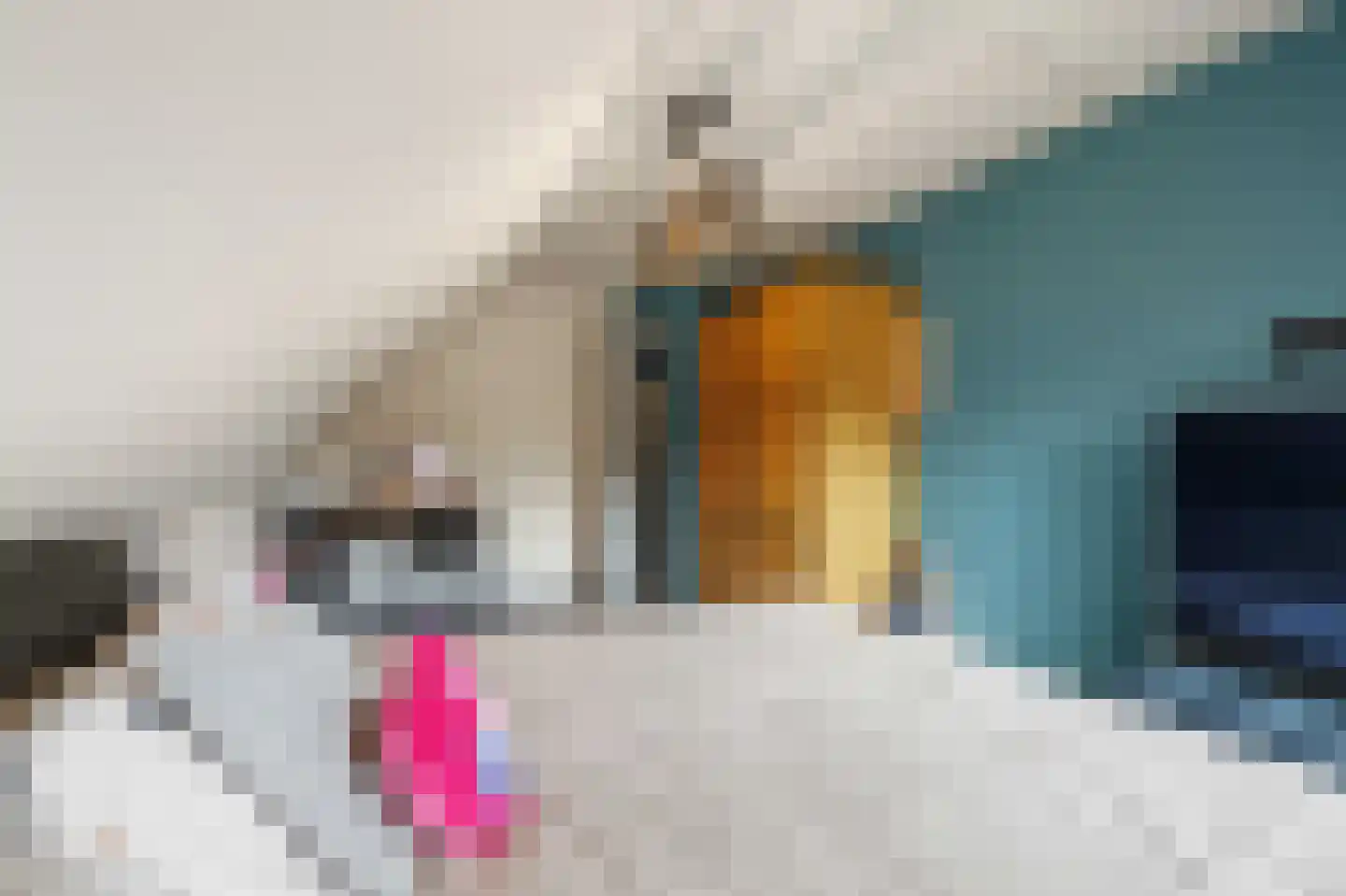 Willeke Joostenstraat 4 Bosschenhoofd thumbnail 41