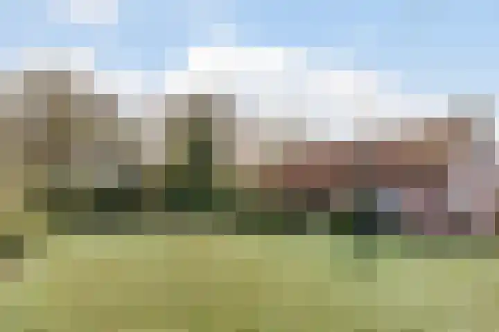 Willeke Joostenstraat 45 Bosschenhoofd thumbnail 10