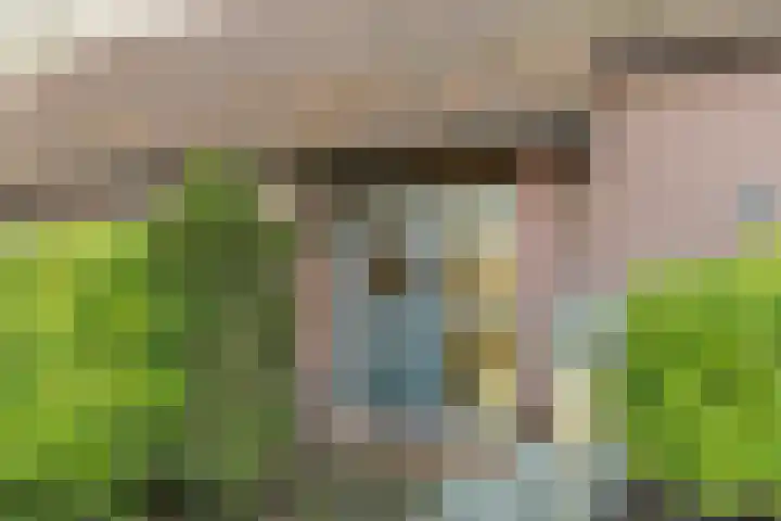 Willeke Joostenstraat 45 Bosschenhoofd thumbnail 13