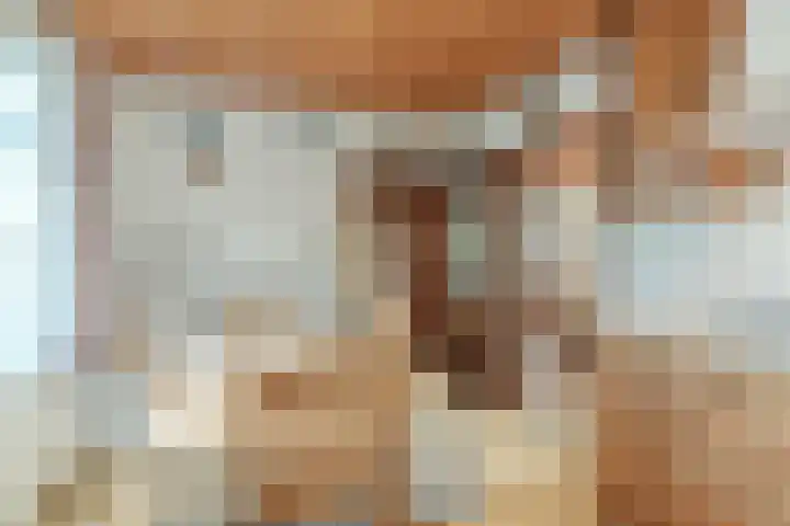 Willeke Joostenstraat 45 Bosschenhoofd thumbnail 21