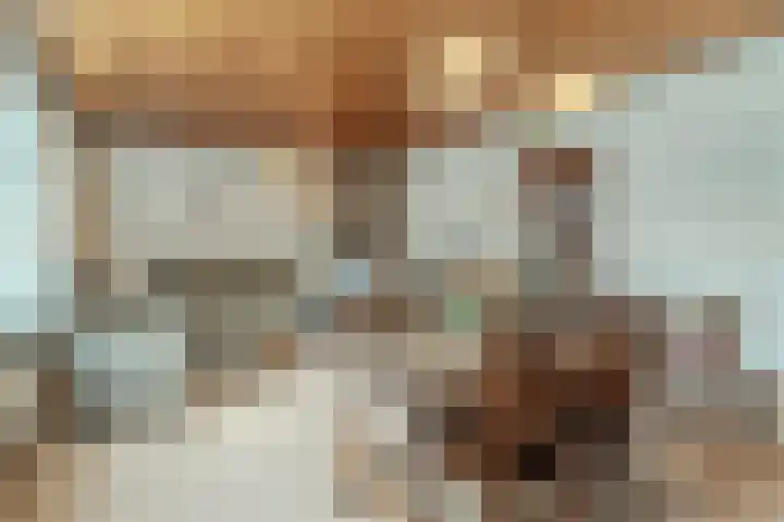Willeke Joostenstraat 45 Bosschenhoofd thumbnail 24