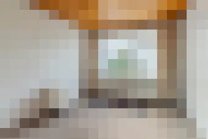 Willeke Joostenstraat 45 Bosschenhoofd thumbnail 28