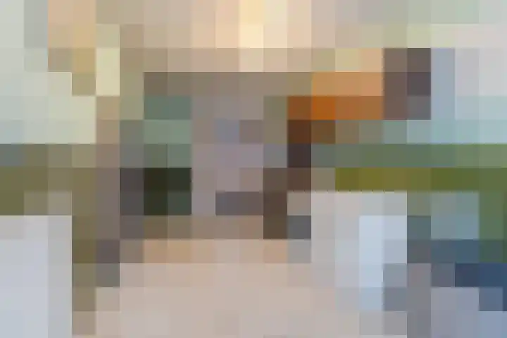 Willeke Joostenstraat 45 Bosschenhoofd thumbnail 31