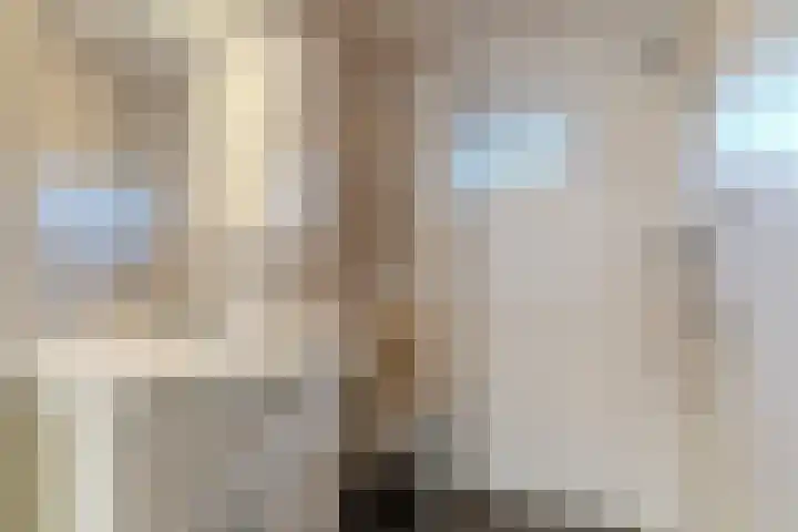 Willeke Joostenstraat 45 Bosschenhoofd thumbnail 33