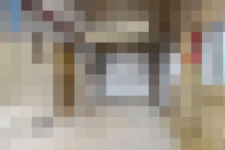 Willeke Joostenstraat 45 Bosschenhoofd thumbnail 35