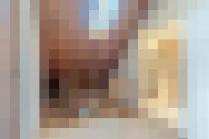 Willeke Joostenstraat 45 Bosschenhoofd thumbnail 36