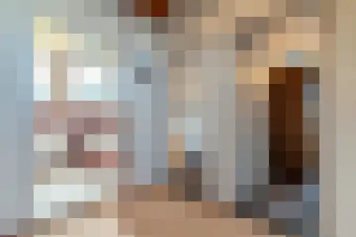 Willeke Joostenstraat 45 Bosschenhoofd thumbnail 37