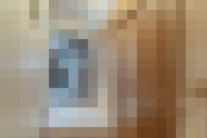 Willeke Joostenstraat 45 Bosschenhoofd thumbnail 39