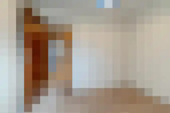 Willeke Joostenstraat 45 Bosschenhoofd thumbnail 41