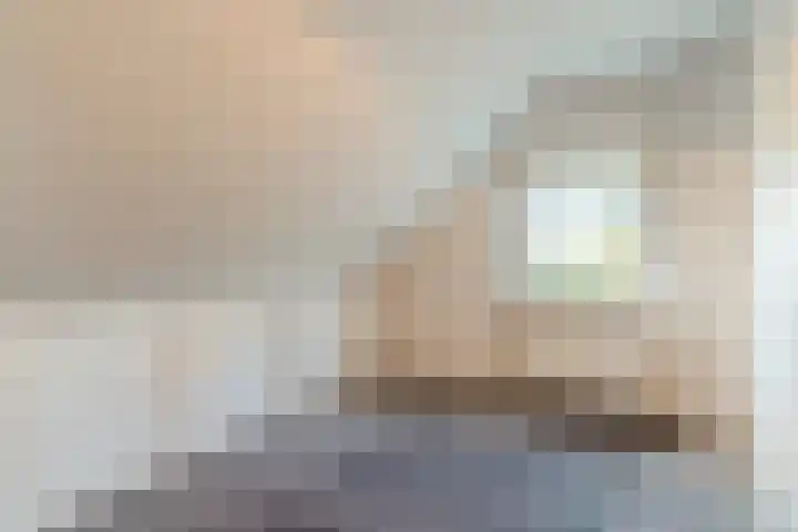 Willeke Joostenstraat 45 Bosschenhoofd thumbnail 42