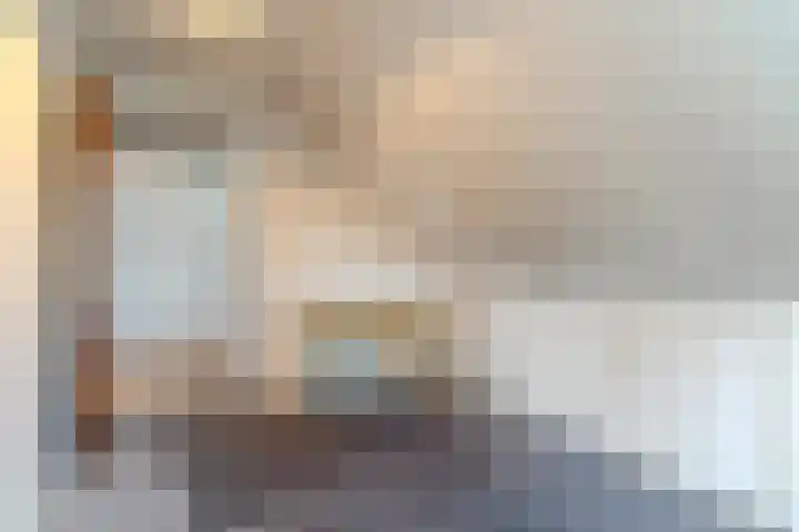 Willeke Joostenstraat 45 Bosschenhoofd thumbnail 43