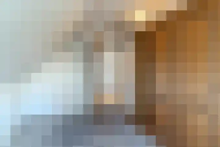 Willeke Joostenstraat 45 Bosschenhoofd thumbnail 45