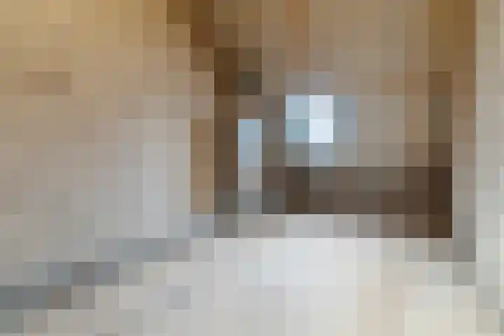 Willeke Joostenstraat 45 Bosschenhoofd thumbnail 49