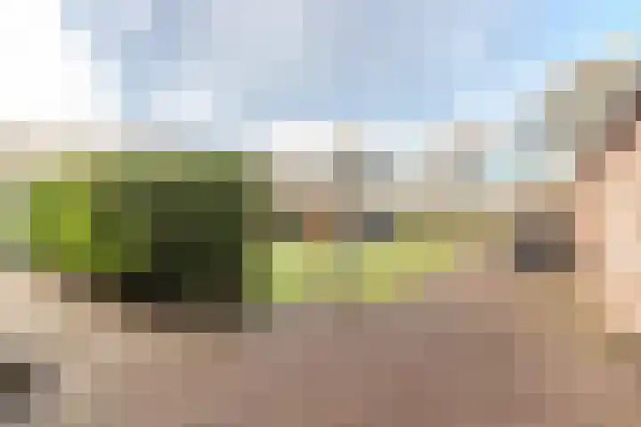 Willeke Joostenstraat 45 Bosschenhoofd thumbnail 58