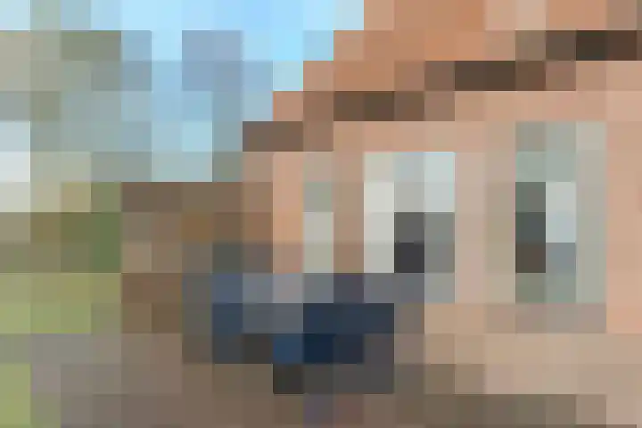 Willeke Joostenstraat 45 Bosschenhoofd thumbnail 60