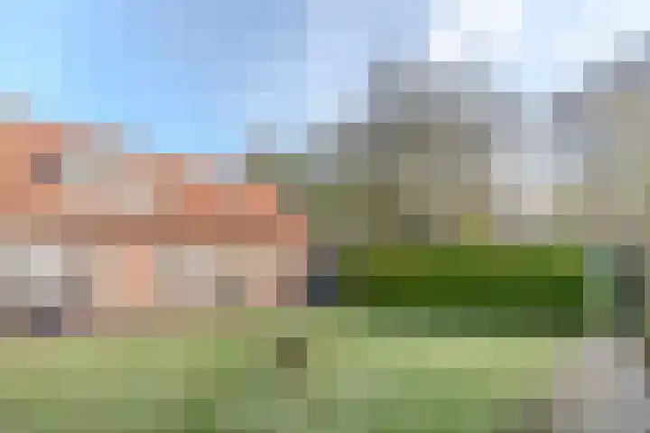 Willeke Joostenstraat 45 Bosschenhoofd thumbnail 62