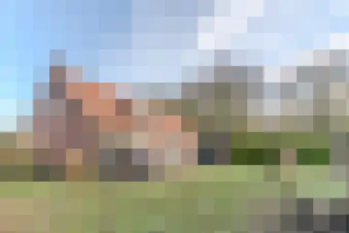 Willeke Joostenstraat 45 Bosschenhoofd thumbnail 63