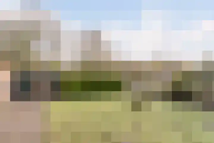 Willeke Joostenstraat 45 Bosschenhoofd thumbnail 65