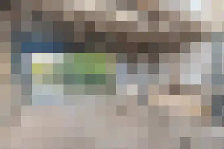 Willeke Joostenstraat 45 Bosschenhoofd thumbnail 68