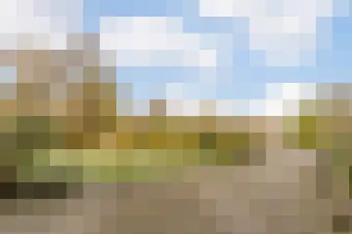 Willeke Joostenstraat 45 Bosschenhoofd thumbnail 69