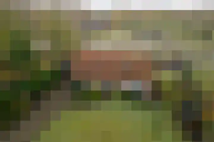 Willeke Joostenstraat 45 Bosschenhoofd thumbnail 73