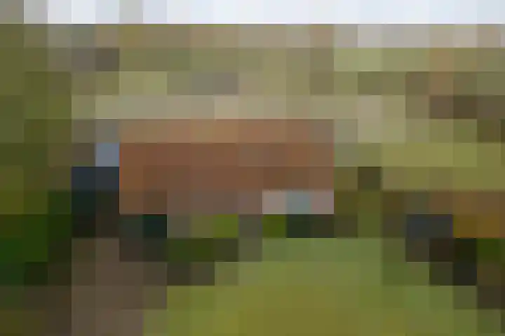 Willeke Joostenstraat 45 Bosschenhoofd thumbnail 74