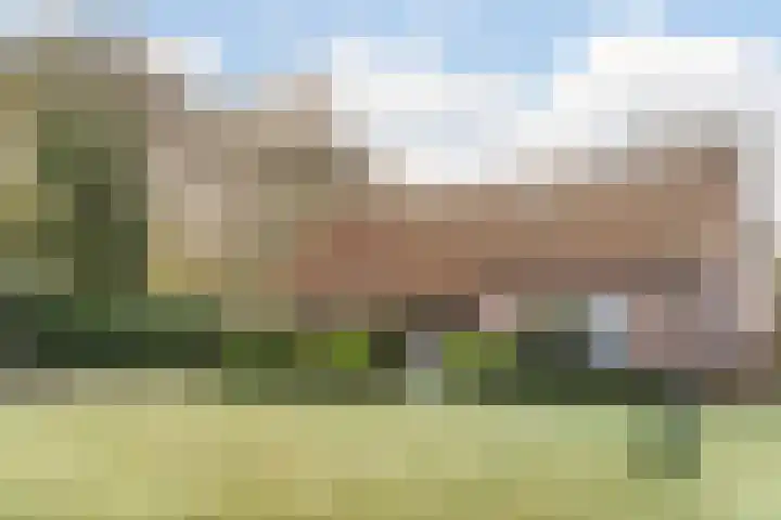 Willeke Joostenstraat 45 Bosschenhoofd thumbnail 9