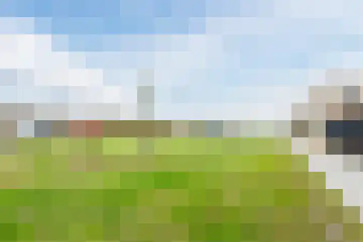 Willem Albert Wagenaarpad 140 Almere thumbnail 35