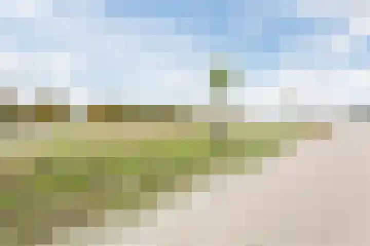 Willem Albert Wagenaarpad 140 Almere thumbnail 36