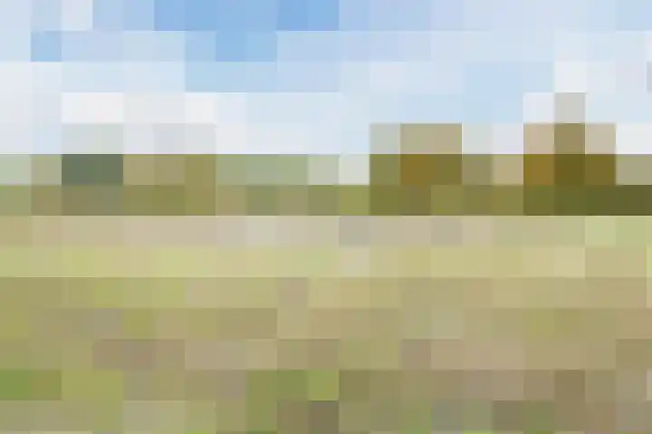 Willem Albert Wagenaarpad 140 Almere thumbnail 37