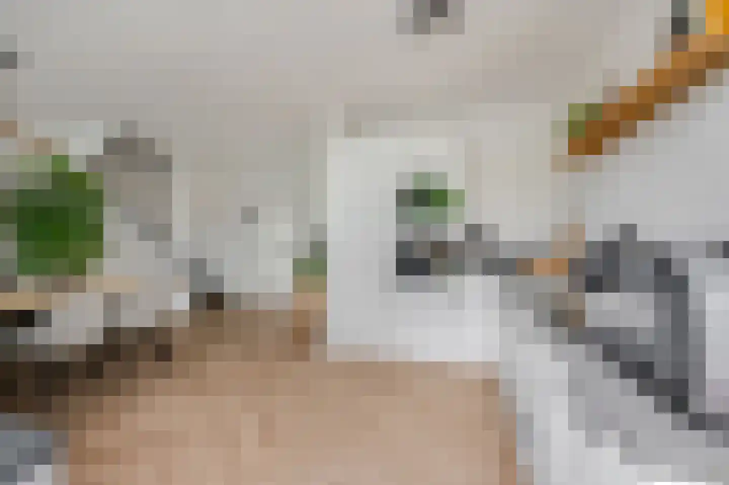 Willem-Alexanderdreef 3 Hoevelaken thumbnail 17