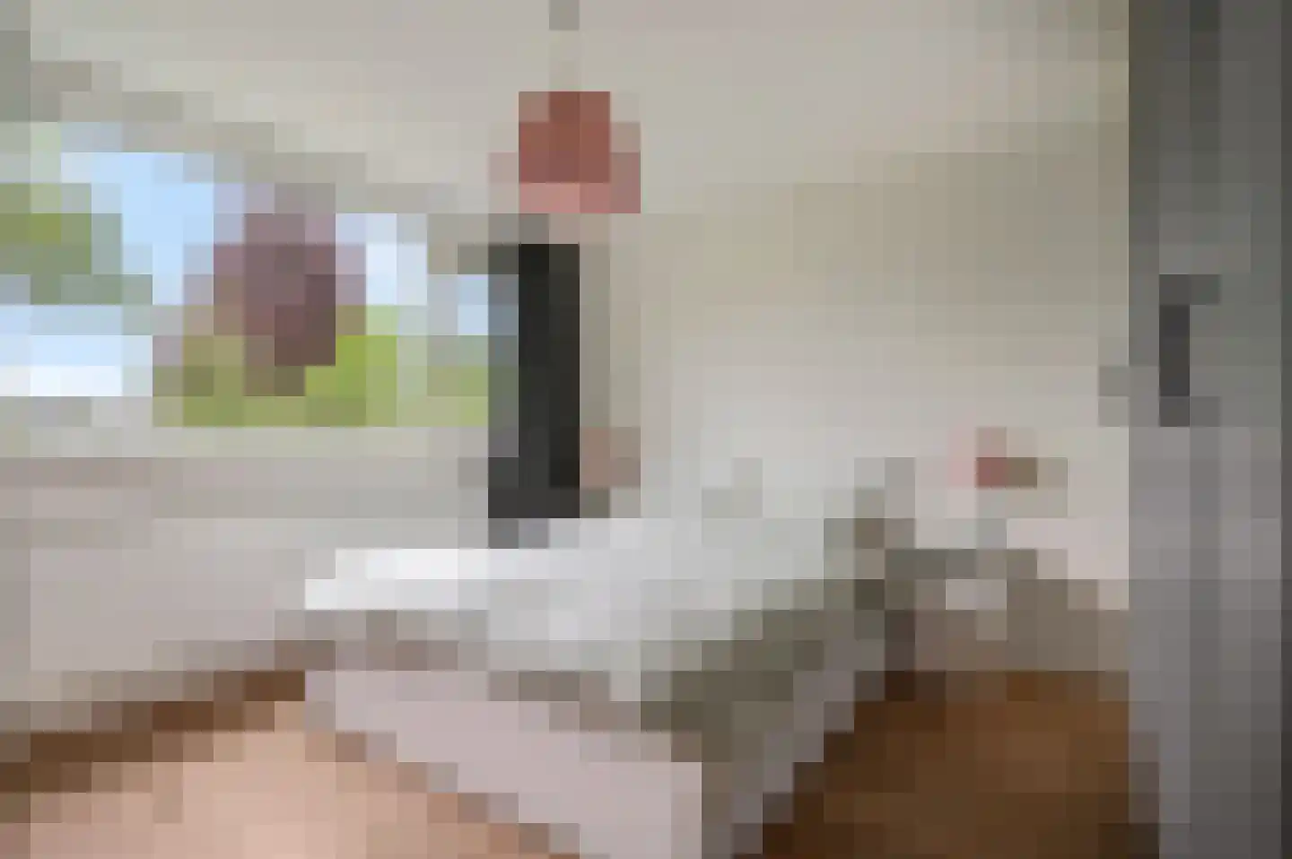 Willem-Alexanderdreef 3 Hoevelaken thumbnail 19