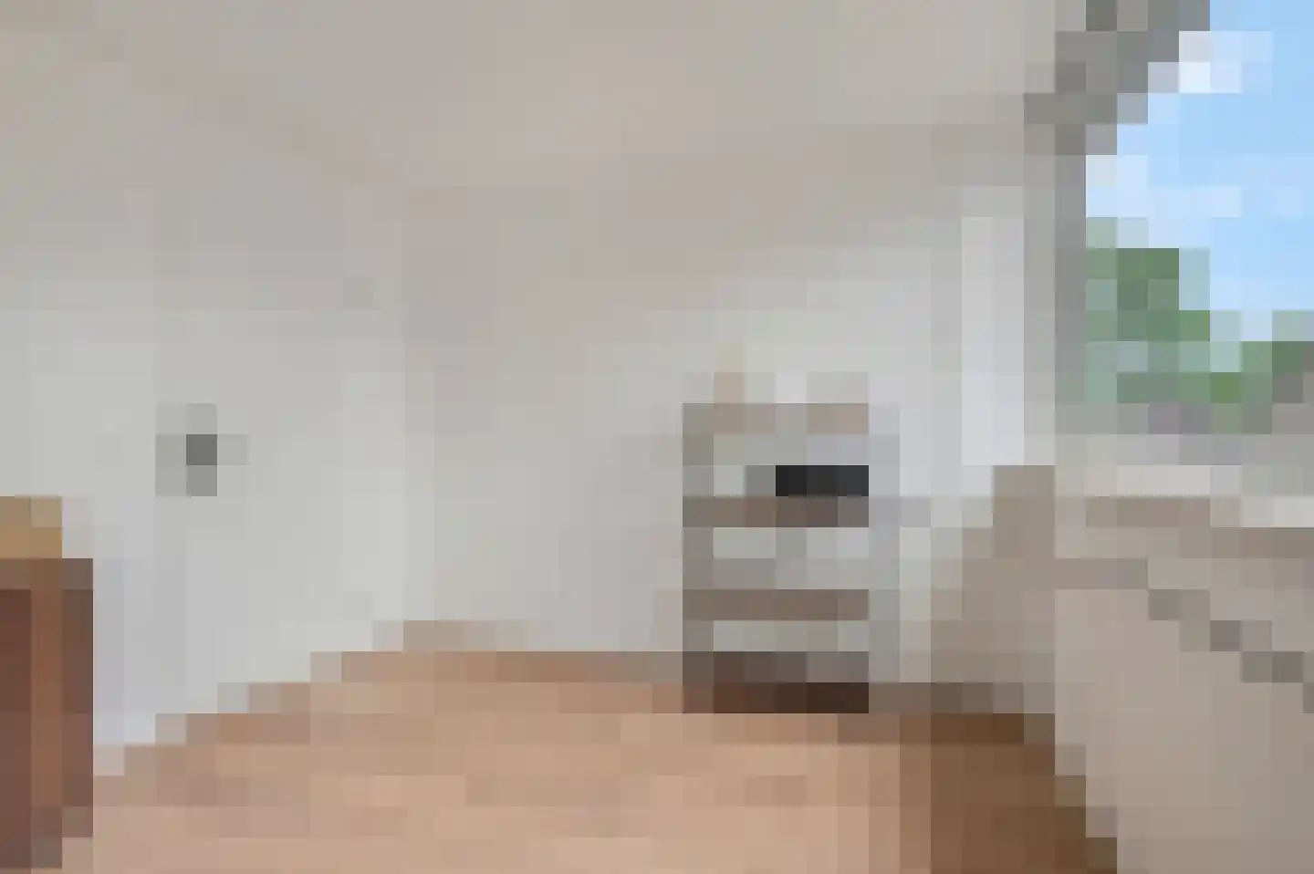 Willem-Alexanderdreef 3 Hoevelaken thumbnail 22