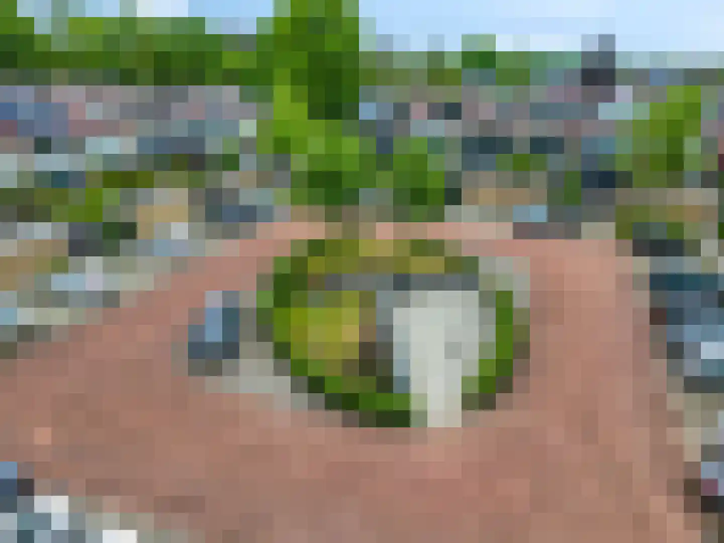 Willem-Alexanderdreef 3 Hoevelaken thumbnail 36
