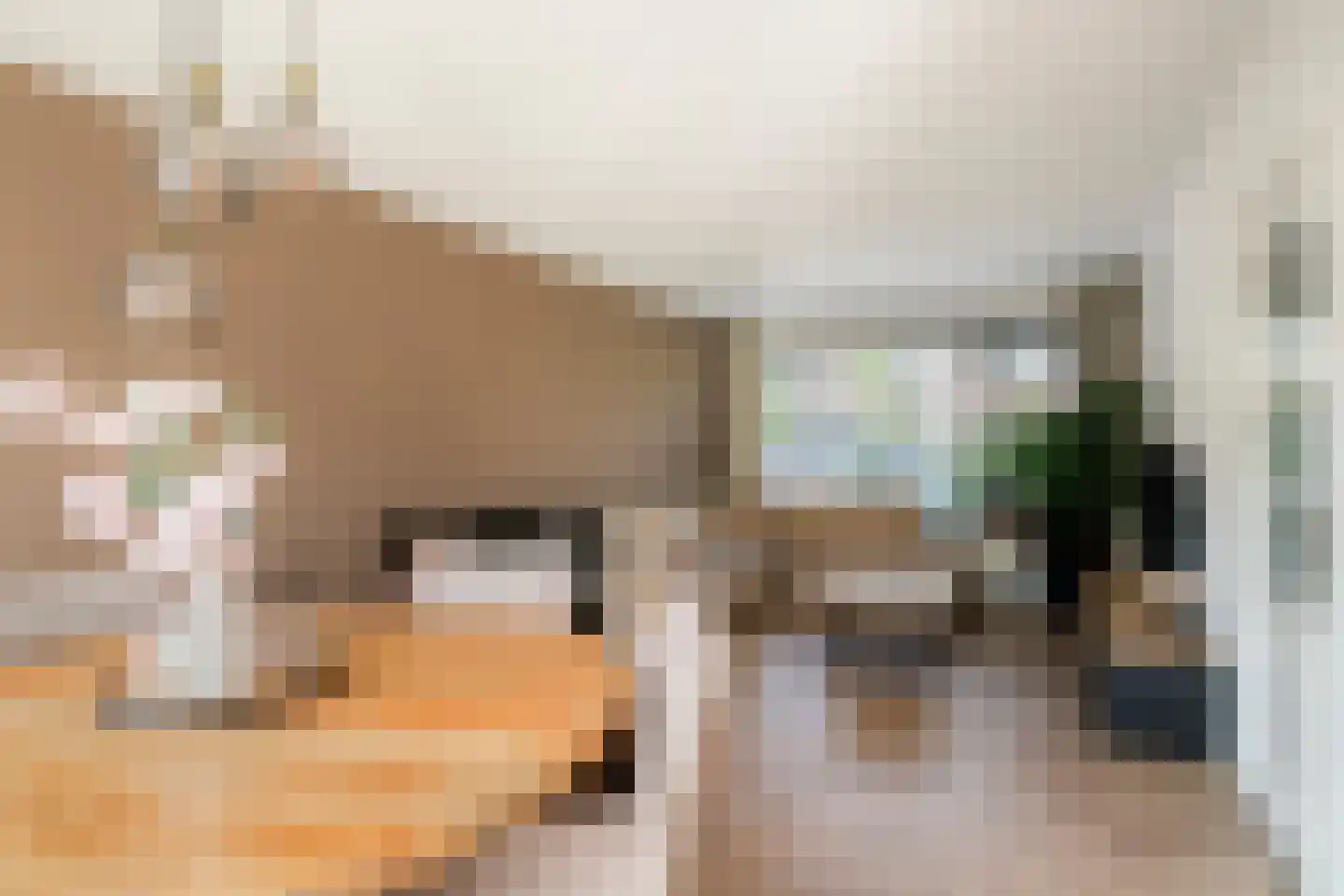 Willem Alexanderhof 12 Huissen thumbnail 15