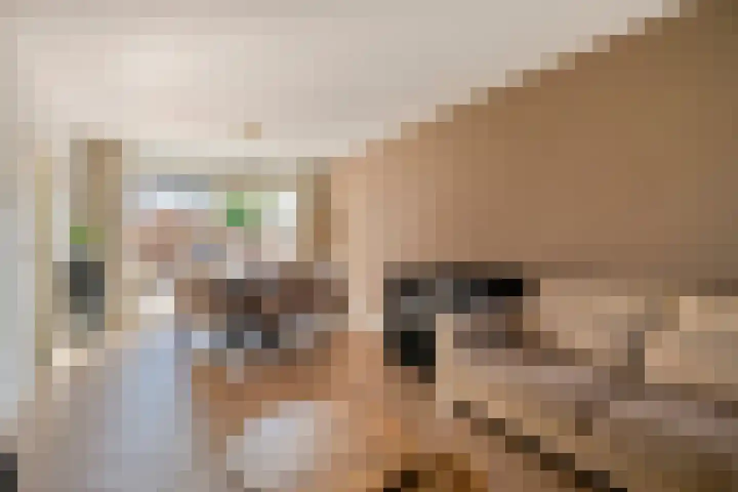 Willem Alexanderhof 12 Huissen thumbnail 17