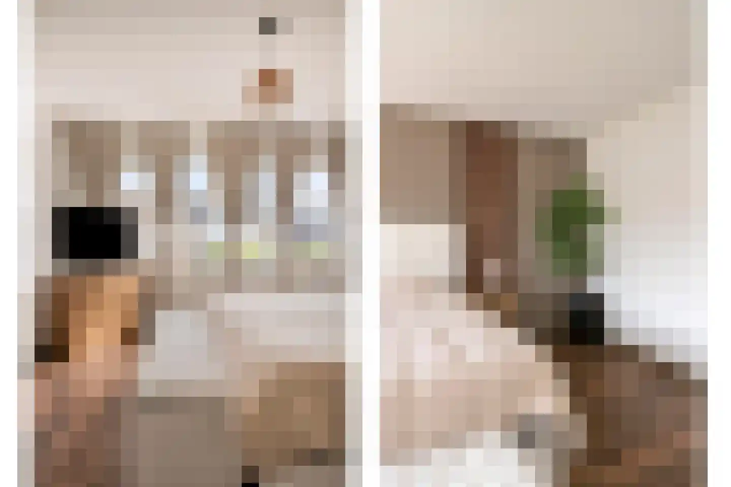 Willem Alexanderhof 12 Huissen thumbnail 24