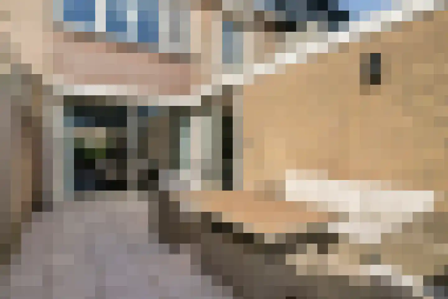 Willem Alexanderhof 12 Huissen thumbnail 41
