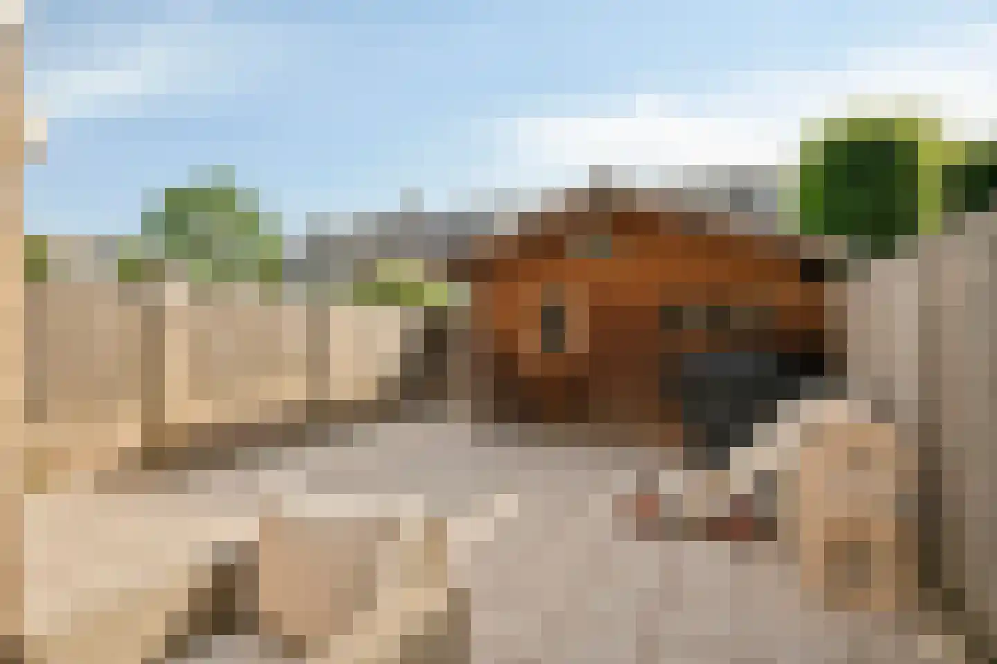 Willem Alexanderhof 12 Huissen thumbnail 43