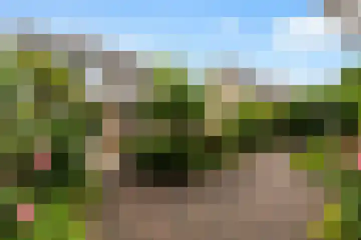 Willem-Alexanderhof 23 Zwijndrecht thumbnail 31