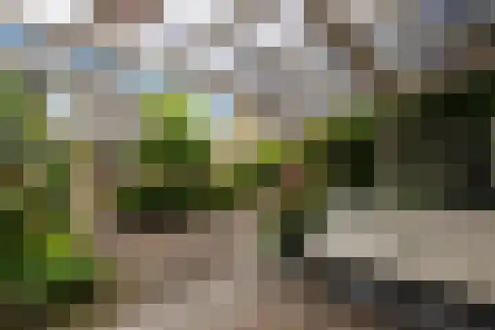 Willem-Alexanderhof 23 Zwijndrecht thumbnail 32