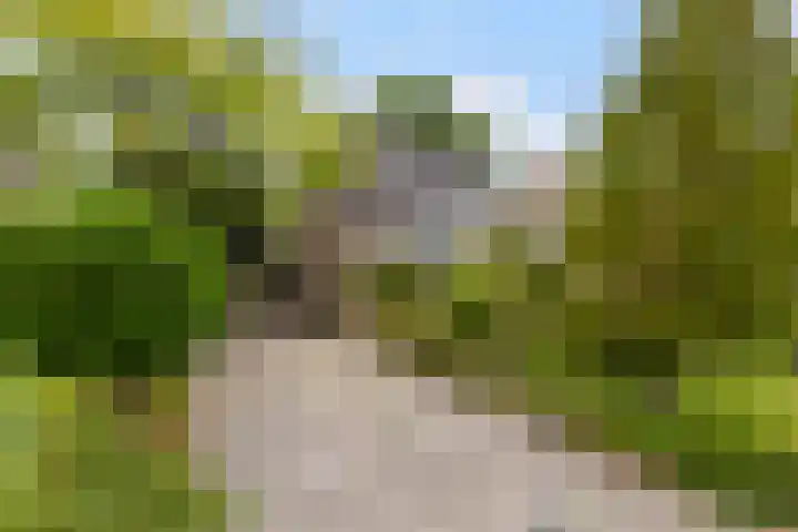 Willem-Alexanderhof 23 Zwijndrecht thumbnail 38