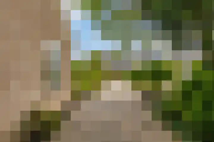 Willem-Alexanderhof 23 Zwijndrecht thumbnail 4
