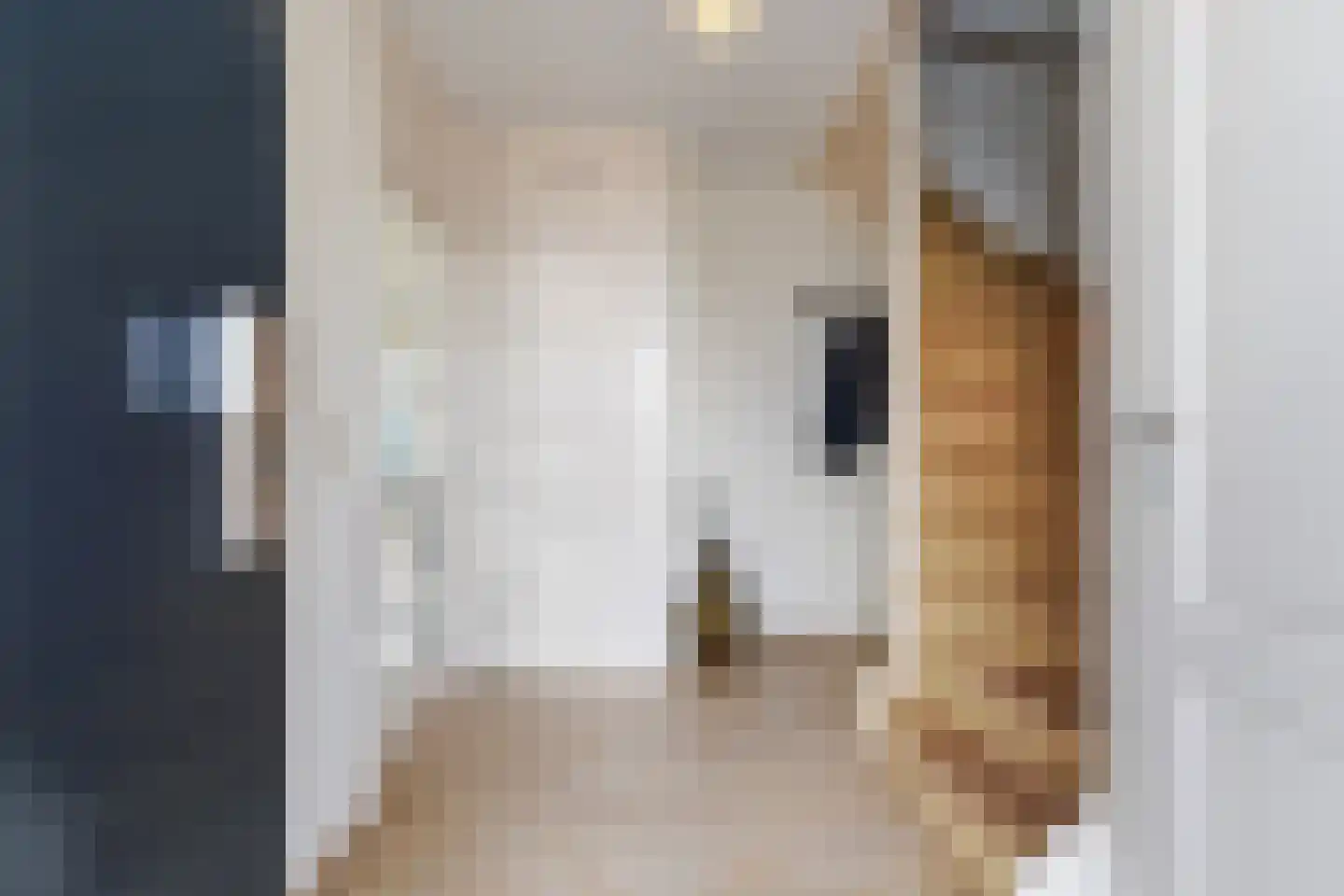 Willem Alexanderhof 37 Waalwijk thumbnail 7
