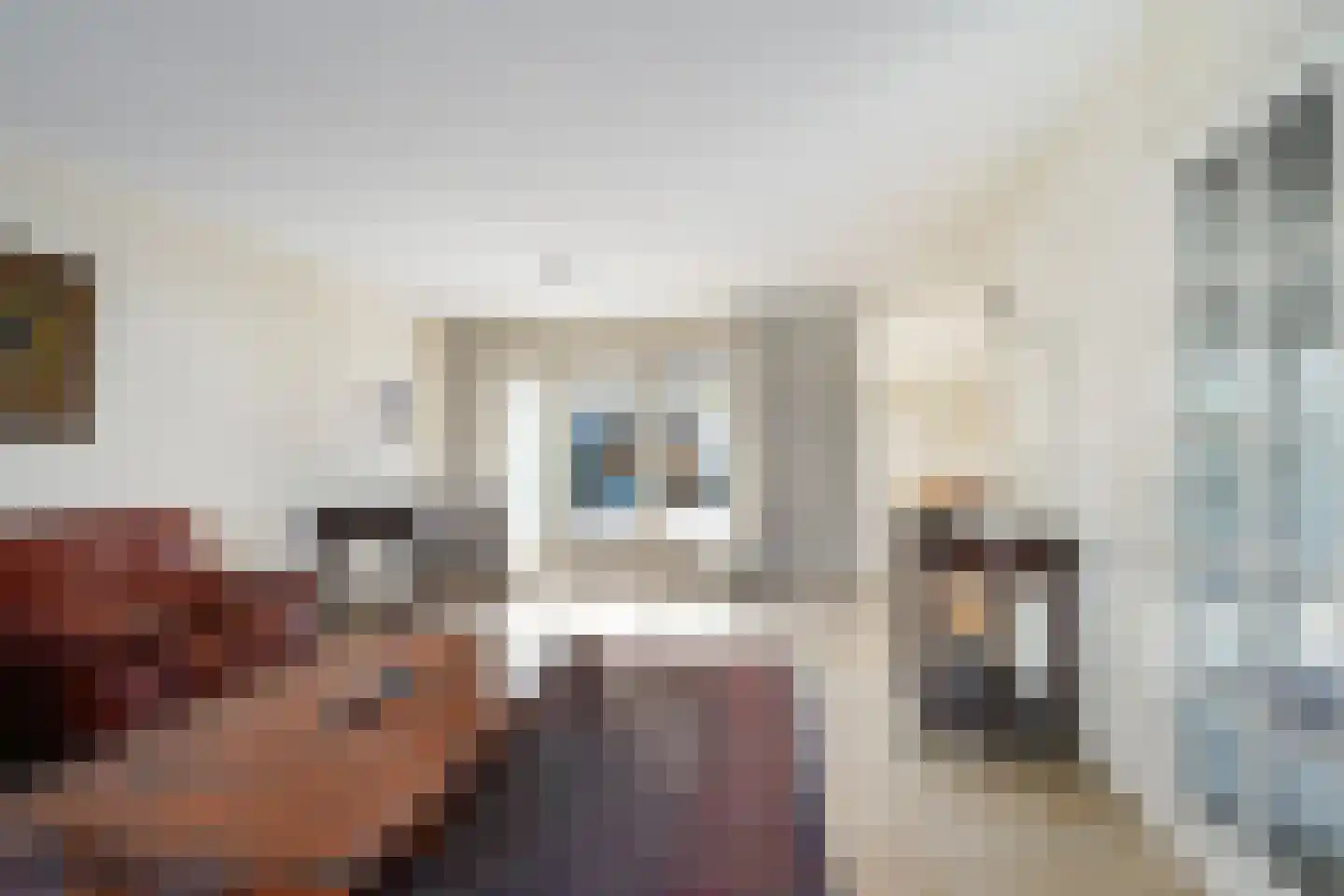 Willem Alexanderhof 37 Waalwijk thumbnail 9
