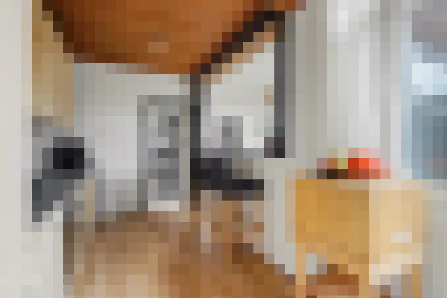 Willem Alexanderhof 5 Huissen thumbnail 15