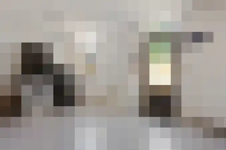Willem Alexanderhof 9 Huissen thumbnail 14